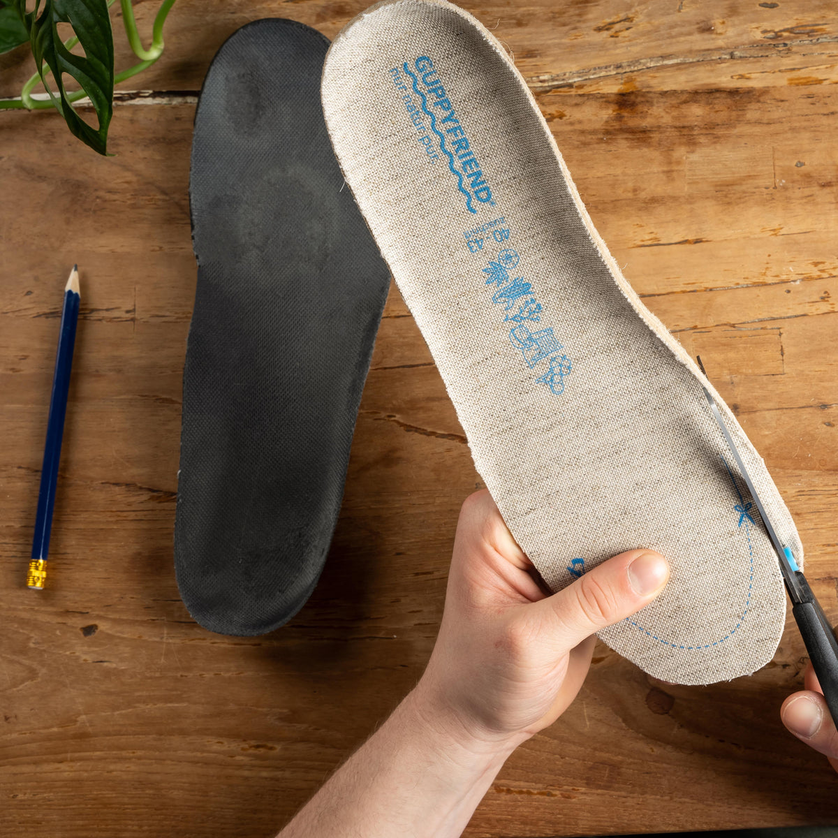 GUPPYFRIEND Organic Insoles