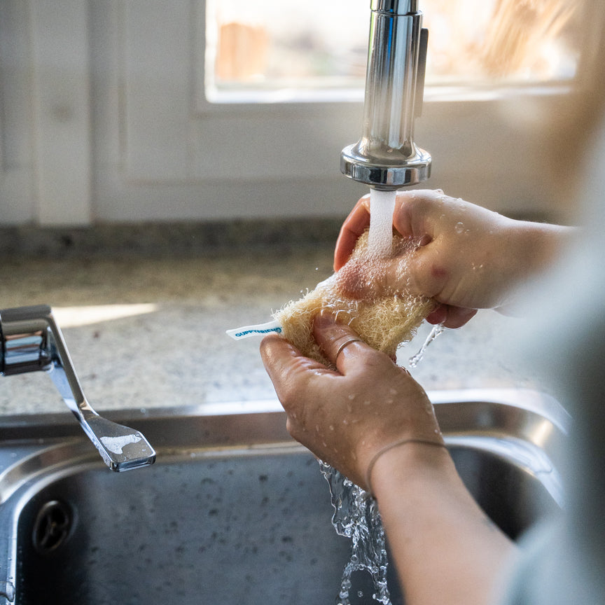 GUPPYFRIEND Luffa Sponges